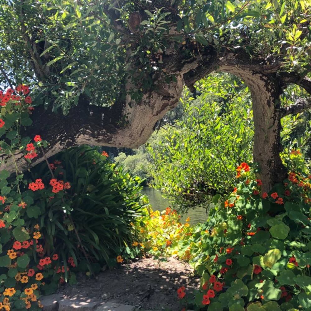 Meet your Posher, Quinnie